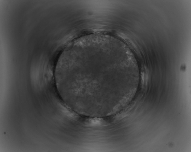 X0000101100618200807171913