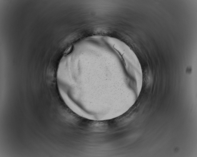 X0000101100619200807171913