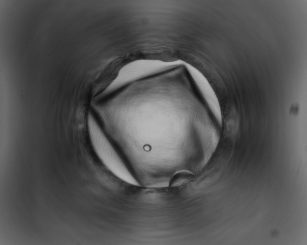 X0000101100620200807171913