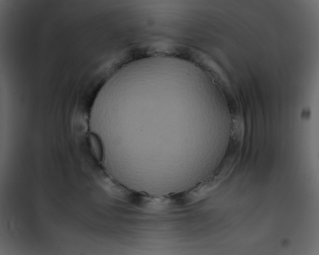 X0000101100621200807171913