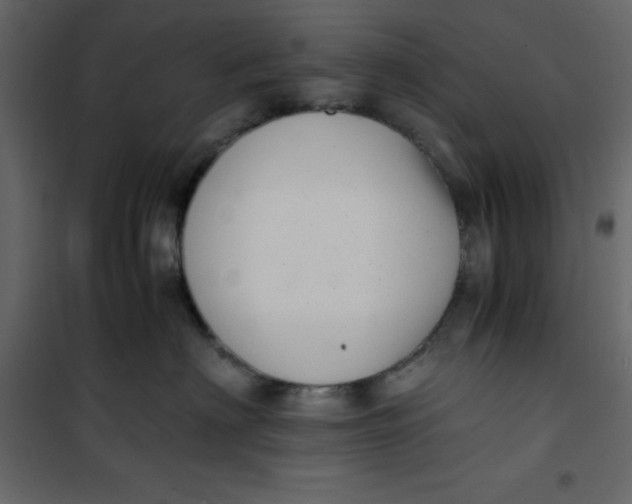 X0000101100622200807171913