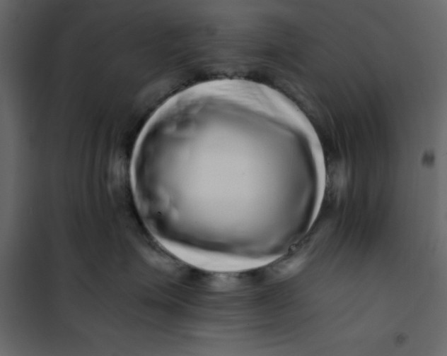 X0000101100623200807171913