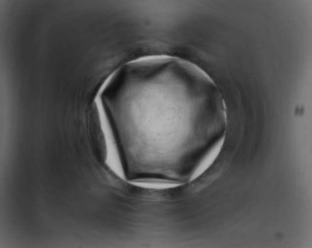 X0000101100624200807171913