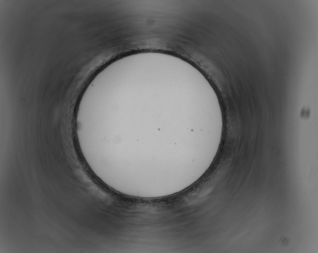 X0000101100625200807171913