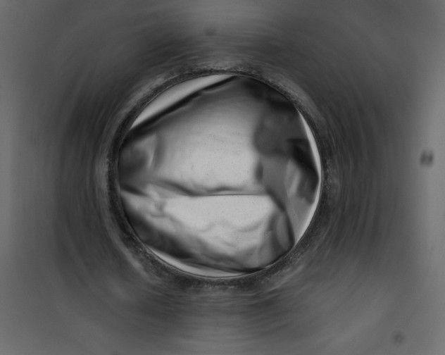 X0000101100626200807171913