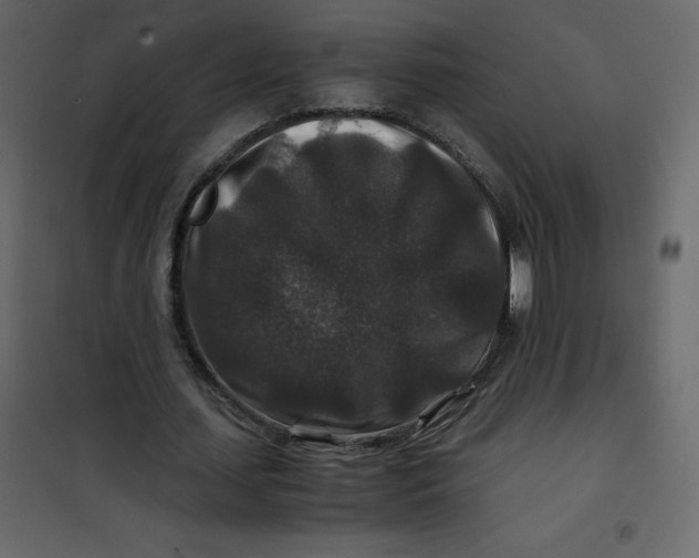 X0000101100627200807171913