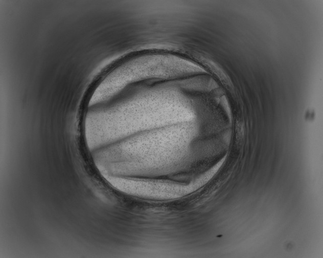 X0000101100628200807171913