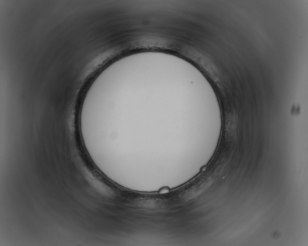 X0000101100629200807171913