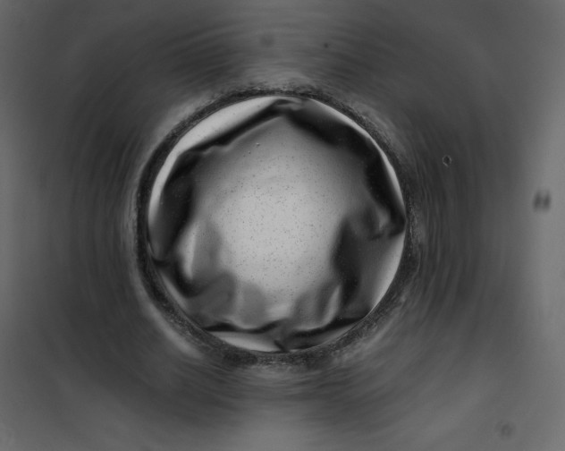 X0000101100630200807171913