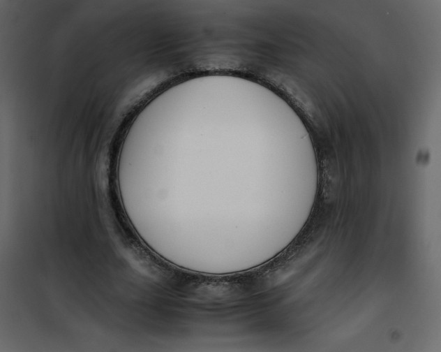 X0000101100631200807171913