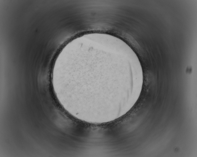 X0000101100632200807171913