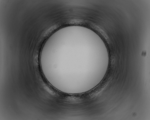 X0000101100633200807171913