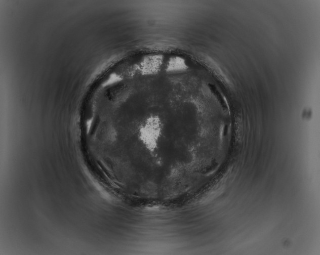 X0000101100634200807171913