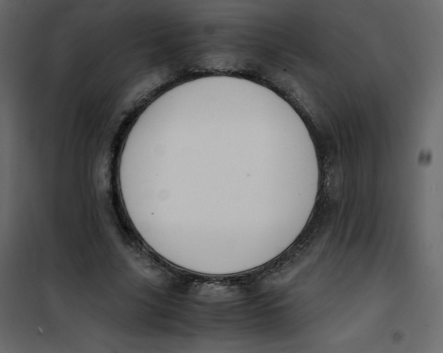 X0000101100635200807171913