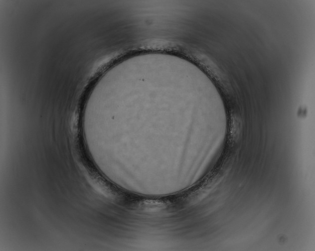 X0000101100636200807171913