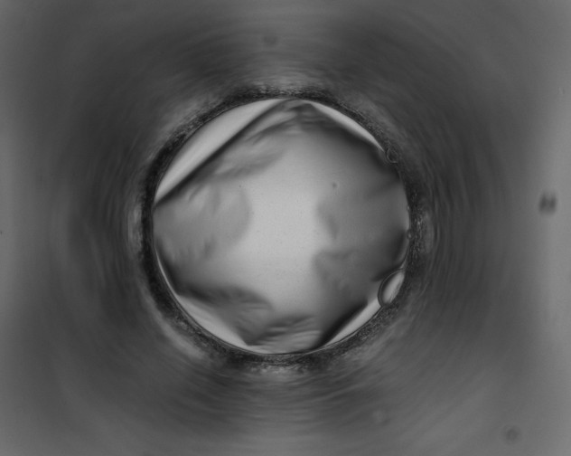 X0000101100638200807171913