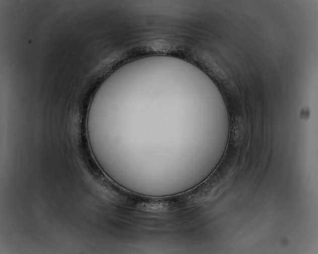 X0000101100639200807171913