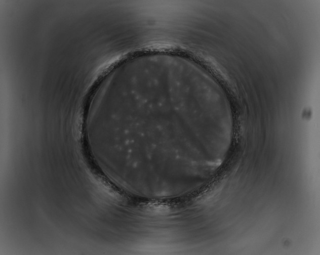 X0000101100640200807171913