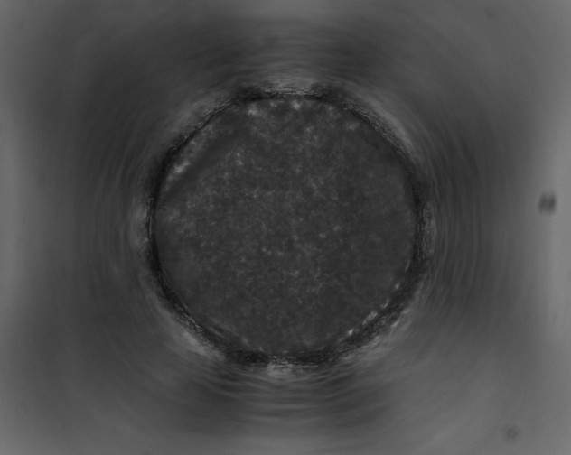 X0000101100641200807171913