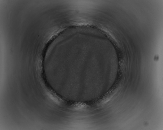 X0000101100642200807171913