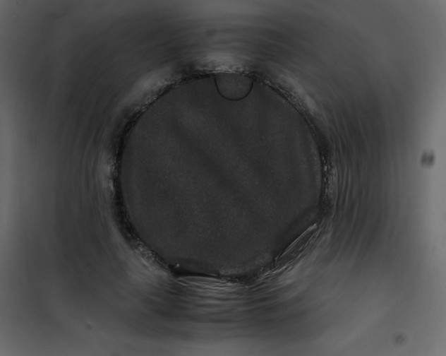 X0000101100643200807171913