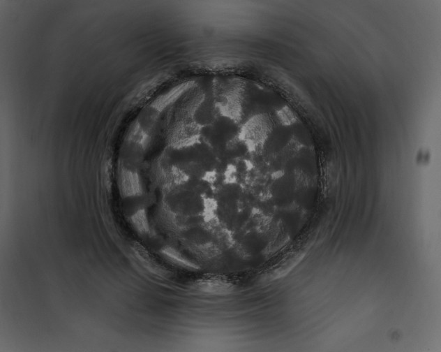 X0000101100644200807171913