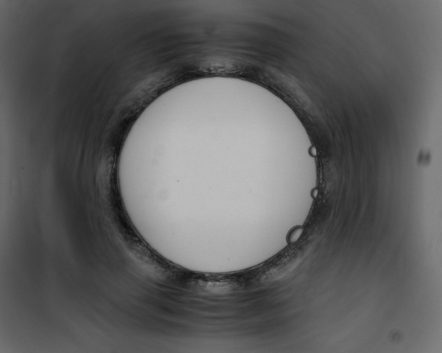 X0000101100645200807171913