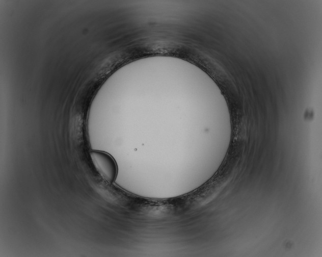 X0000101100646200807171913