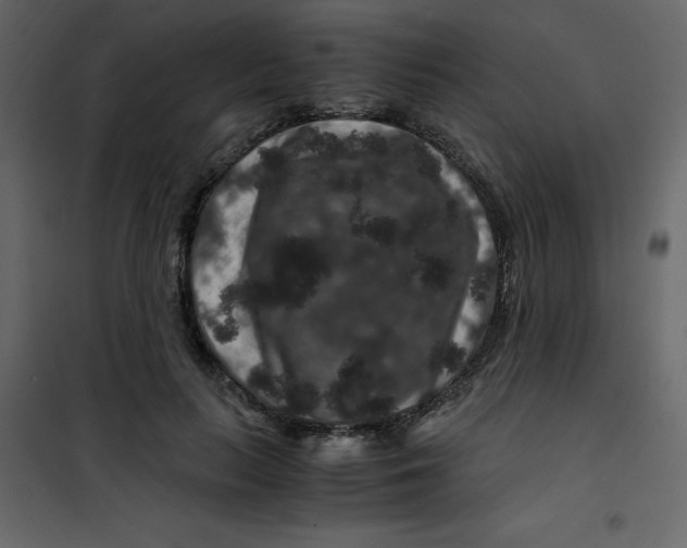 X0000101100647200807171913