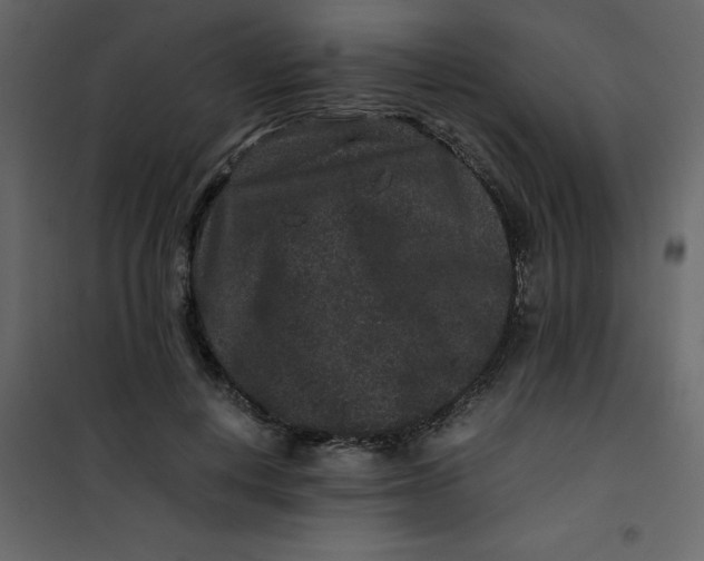 X0000101100648200807171913