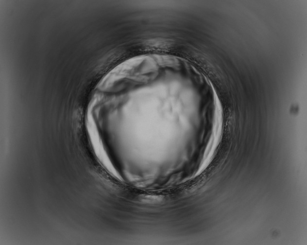 X0000101100649200807171913