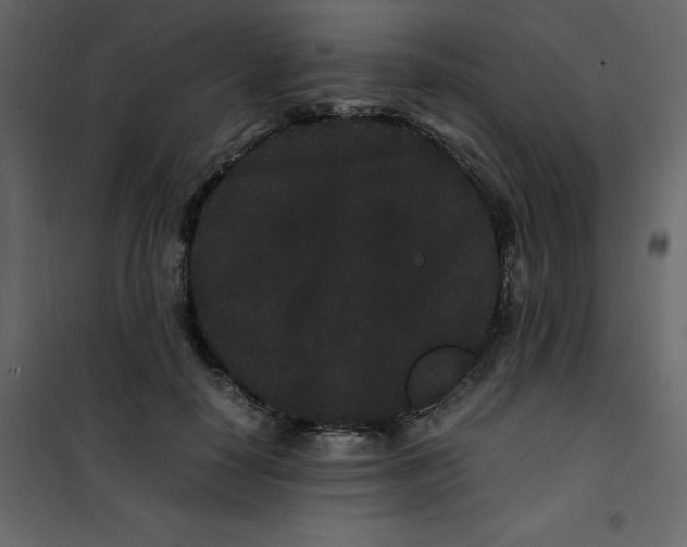 X0000101100650200807171913