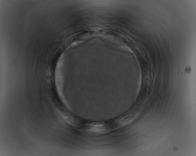 X0000101100651200807171913