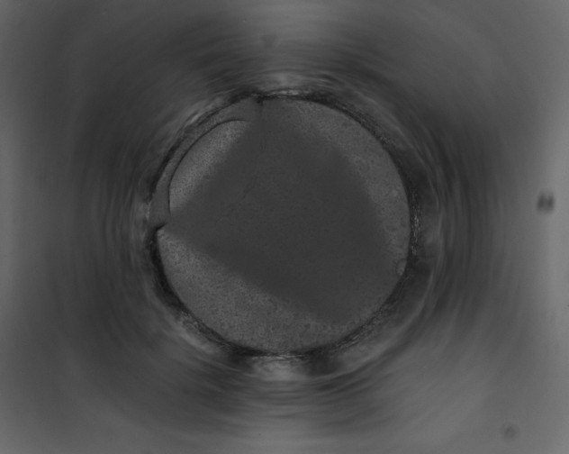 X0000101100652200807171913