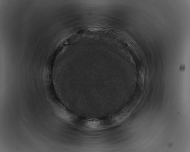 X0000101100653200807171913