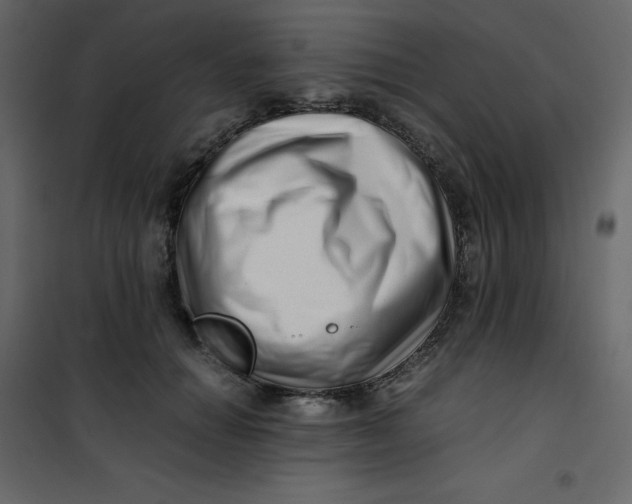 X0000101100654200807171913