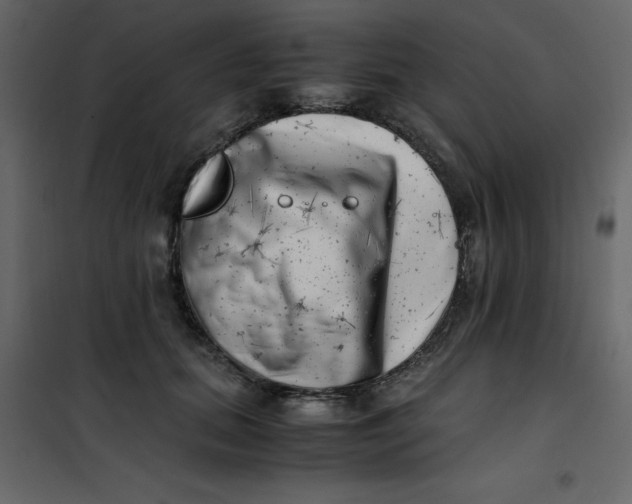 X0000101100655200807171913