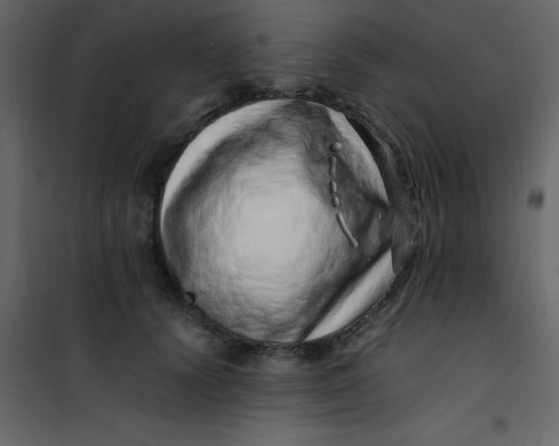 X0000101100656200807171913