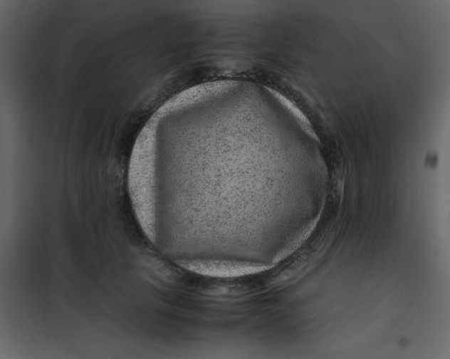 X0000101100657200807171913