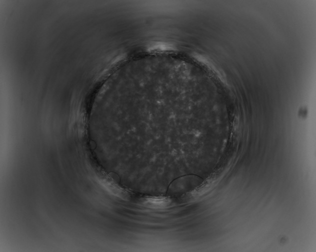 X0000101100659200807171913