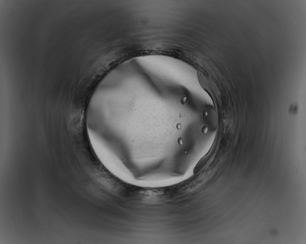 X0000101100660200807171913