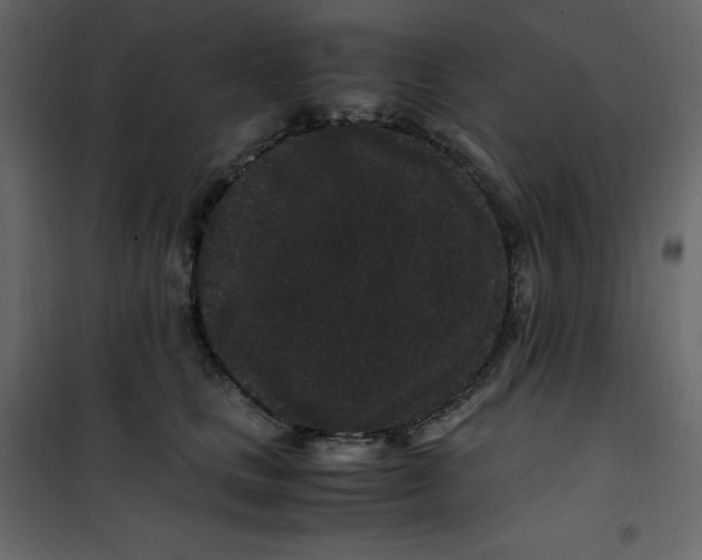 X0000101100661200807171913