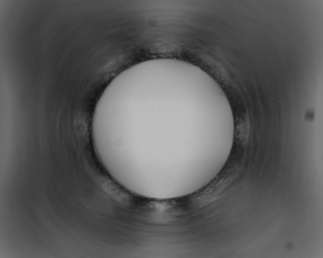 X0000101100662200807171913