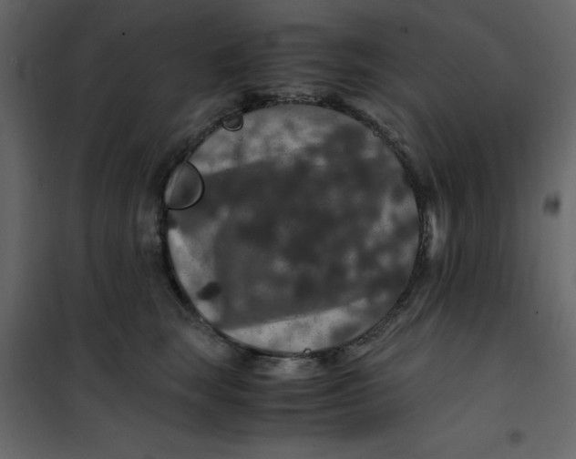 X0000101100663200807171913