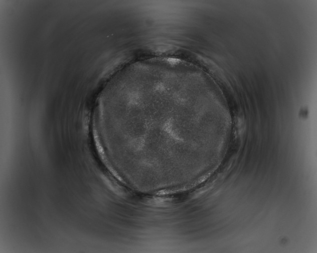 X0000101100664200807171913