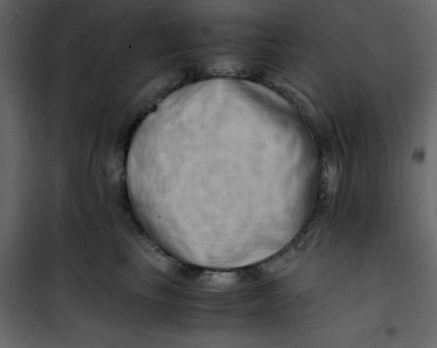 X0000101100665200807171913