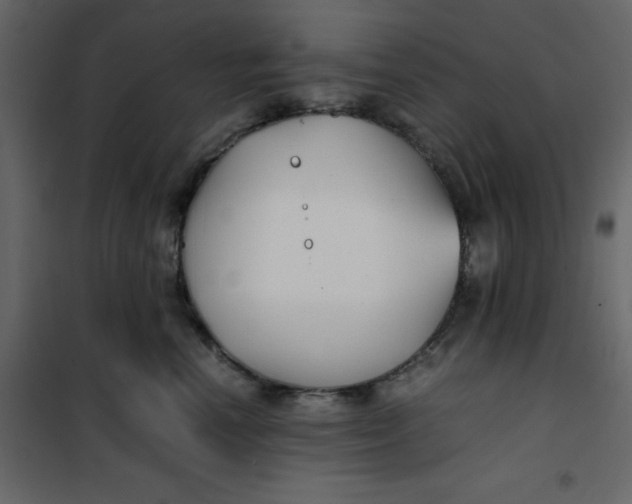 X0000101100666200807171913