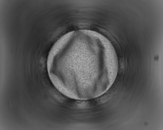 X0000101100667200807171913