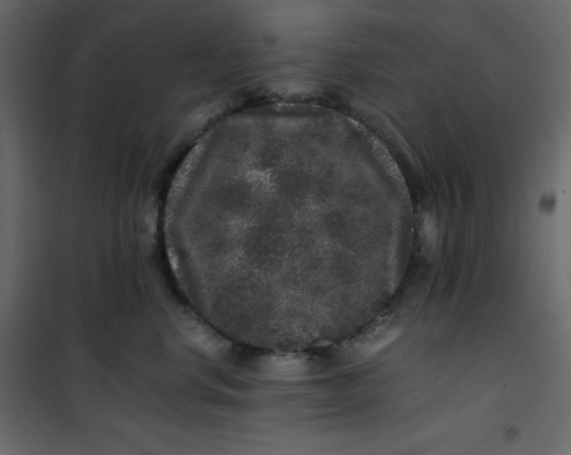 X0000101100668200807171913