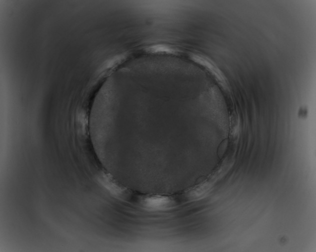 X0000101100669200807171913